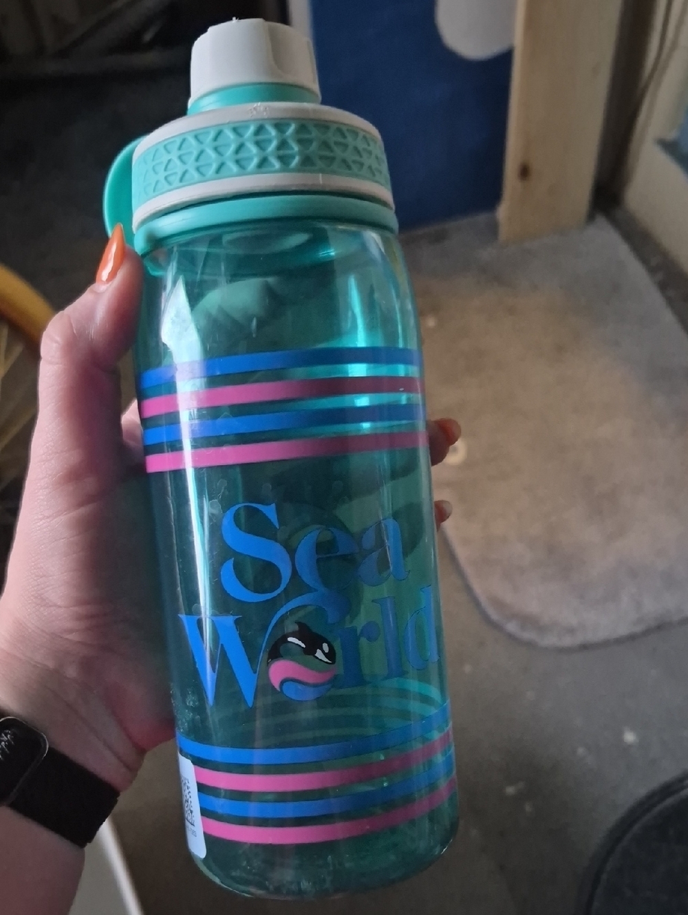 SeaWorld Aqua Striped Water Bottle